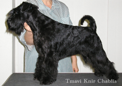 Tmavi Knir Chablis n/a