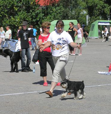 Tmavi Knir Lakert keh&auml;ss&auml; - Turku 26.07.2006