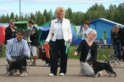 Tmavi Knir Lakert слева