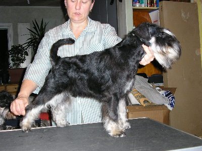 Tmavi Knir Fortezza
